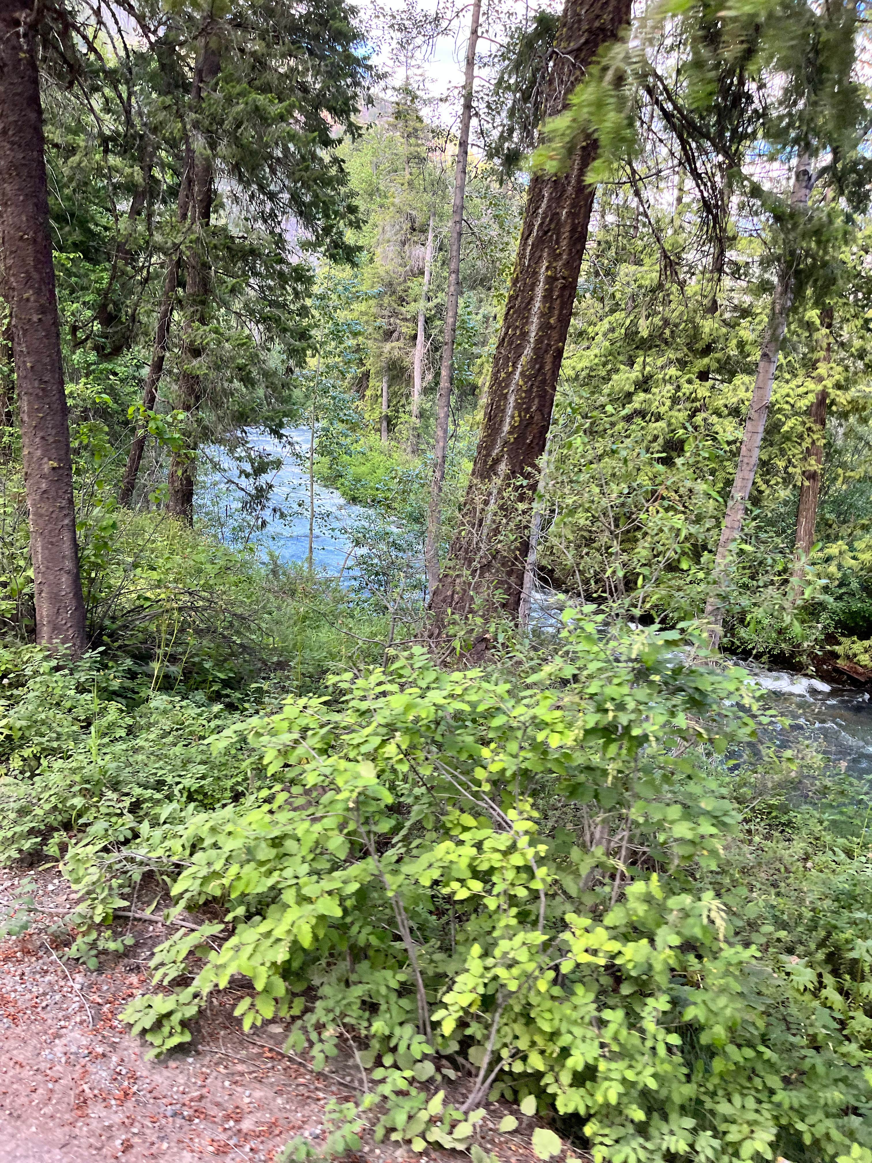 Camping near Klipchuck Campground: River Bend Campground, Mazama, Washington
