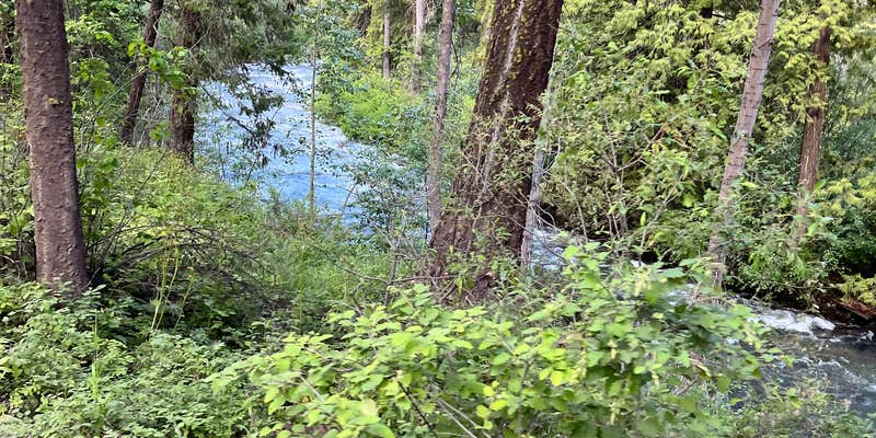 Camper submitted image from River Bend Campground