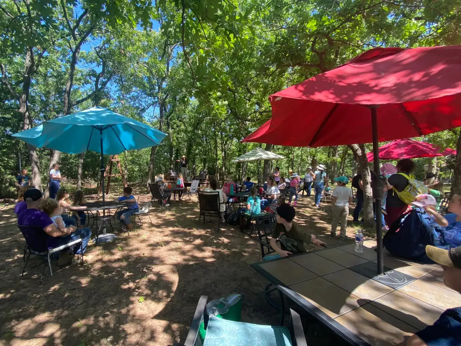 Camping near Abe's RV Park: Oklahoma Donkey Dairy, Arcadia, Oklahoma