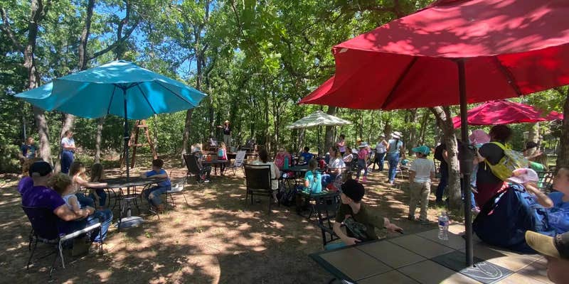 Camper submitted image from Oklahoma Donkey Dairy