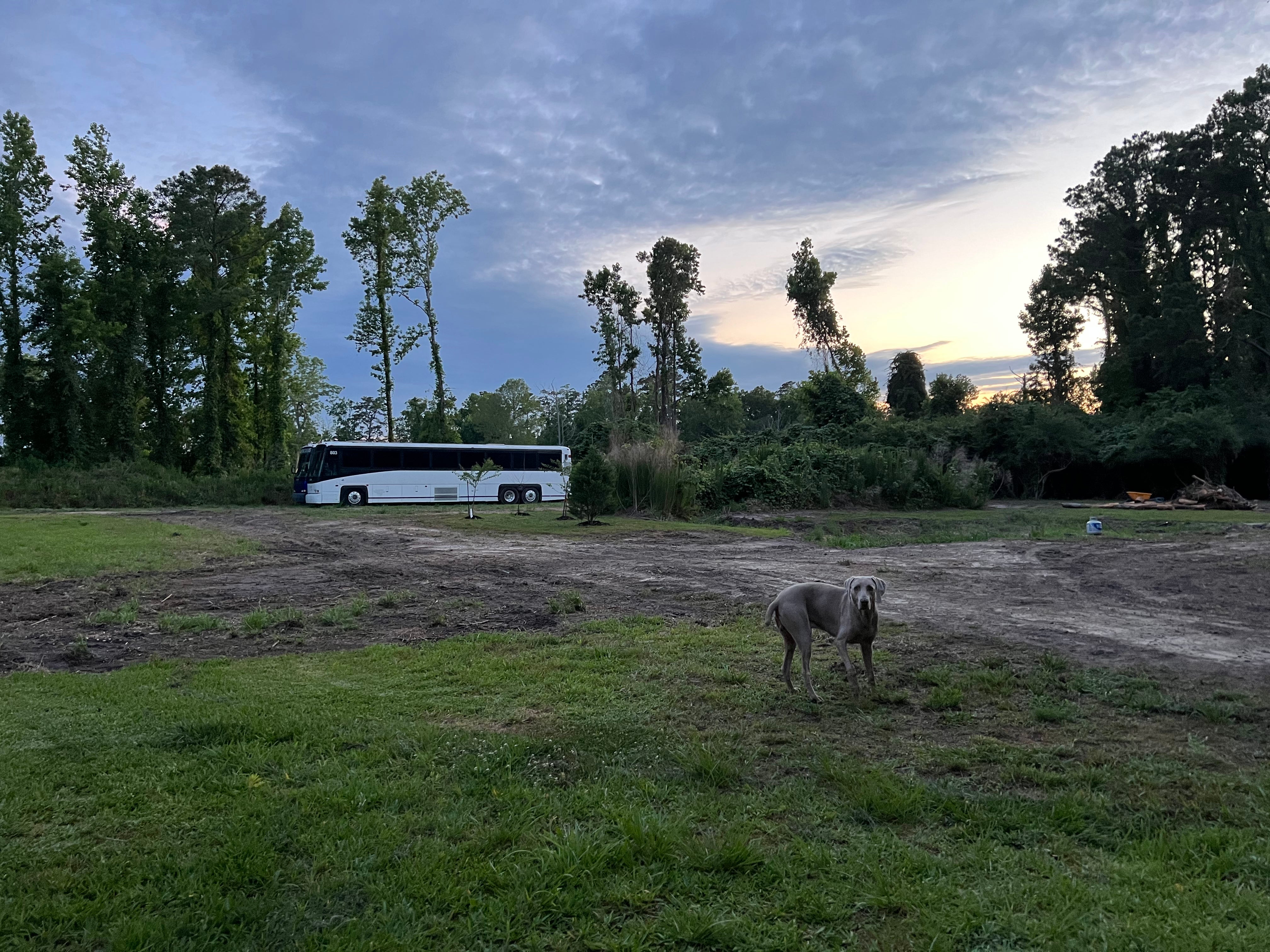 Camper submitted image from Castle Hayne Farm Park - 1