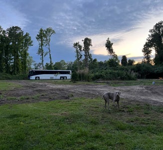 Camper-submitted photo from Castle Hayne Farm Park