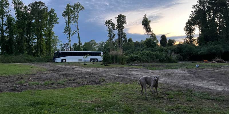 Camper submitted image from Castle Hayne Farm Park