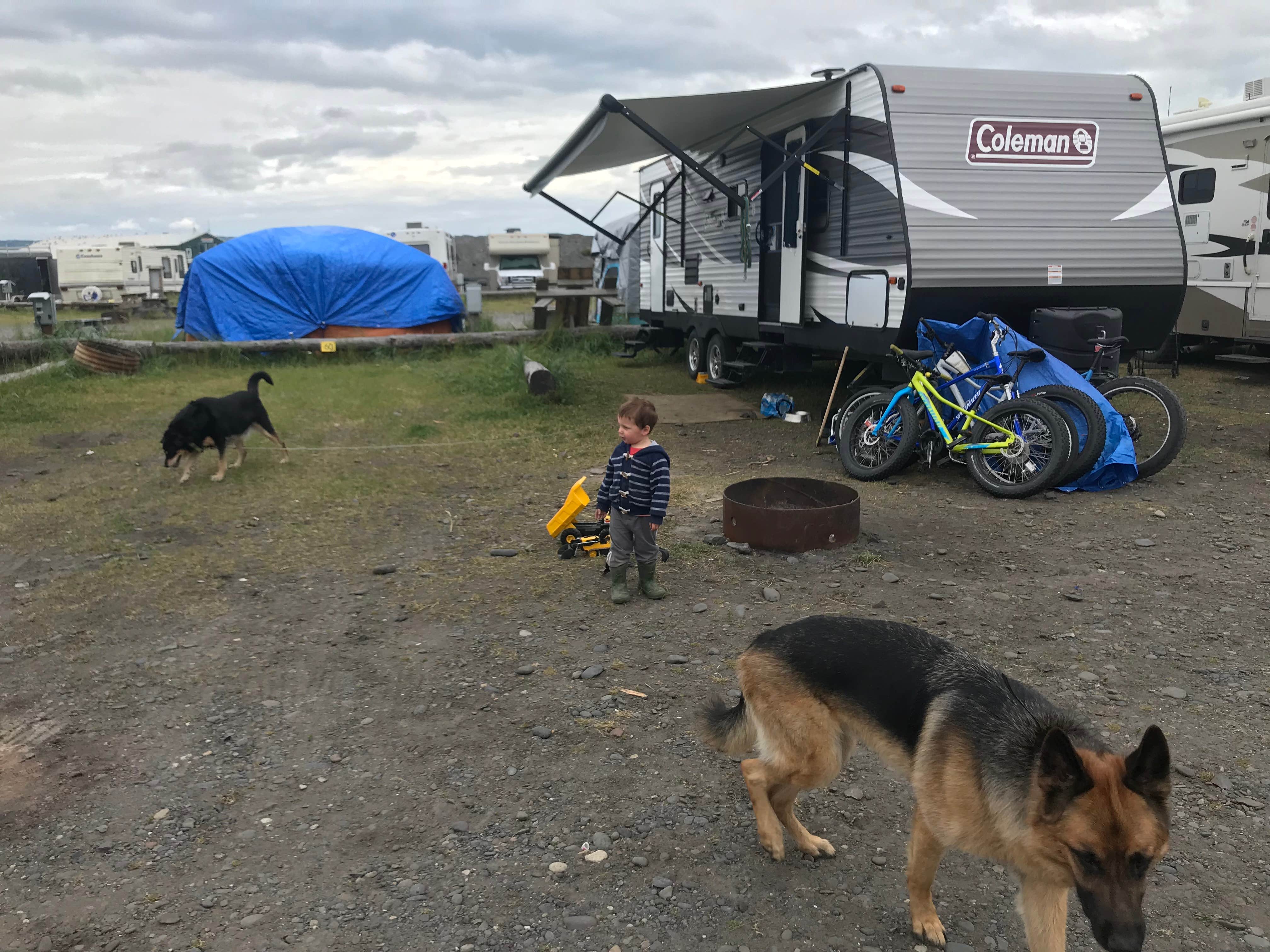 Jonathan B.'s photo of camping with pets at Homer Spit Campground near Ninilchik, AK