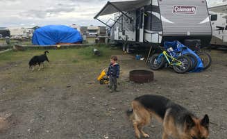 Jonathan B.'s photo of camping with pets at Homer Spit Campground in Alaska