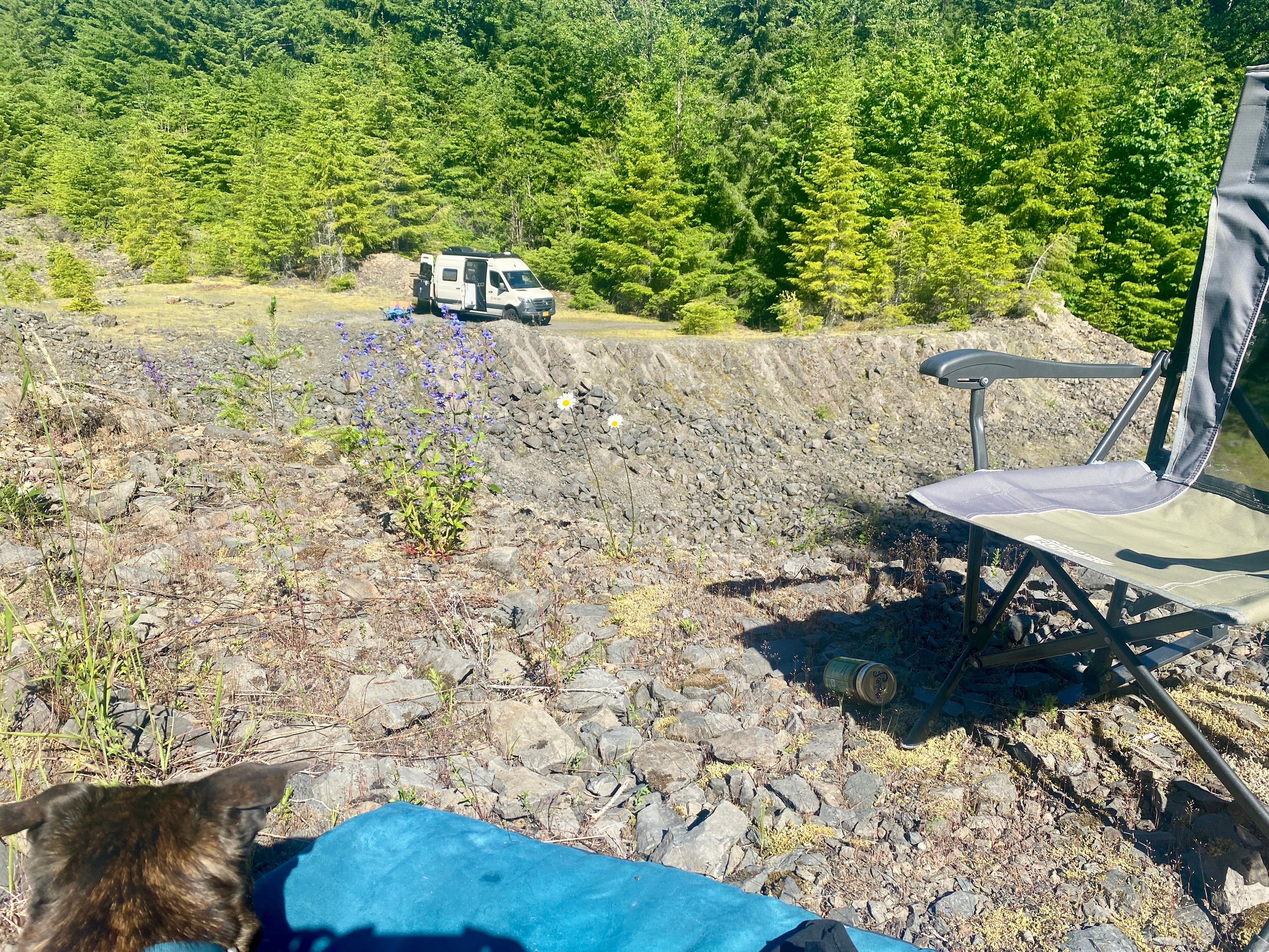 Camper submitted image from Dispersed Camping above Panther Creek Falls - 3