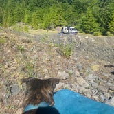 Review photo of Dispersed Camping above Panther Creek Falls by Sarah S., June 27, 2022