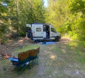 Camper-submitted photo from Dispersed Camping above Panther Creek Falls