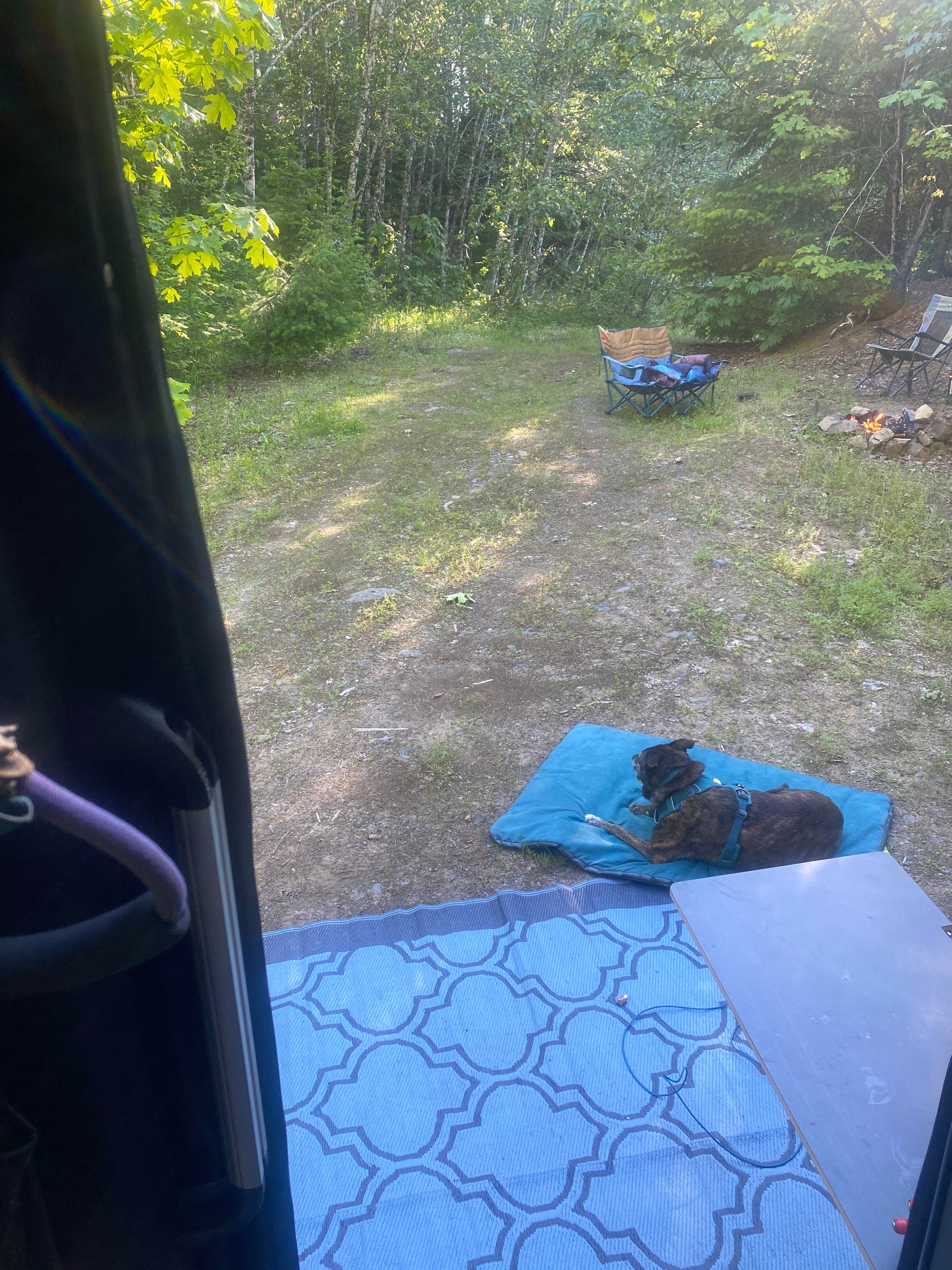 Camper-submitted photo at Dispersed Camping above Panther Creek Falls near White Salmon, WA