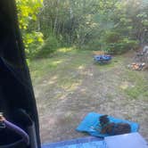 Review photo of Dispersed Camping above Panther Creek Falls by Sarah S., June 27, 2022