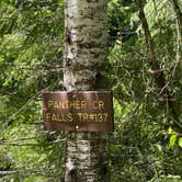 Review photo of Dispersed Camping above Panther Creek Falls by Sarah S., June 27, 2022