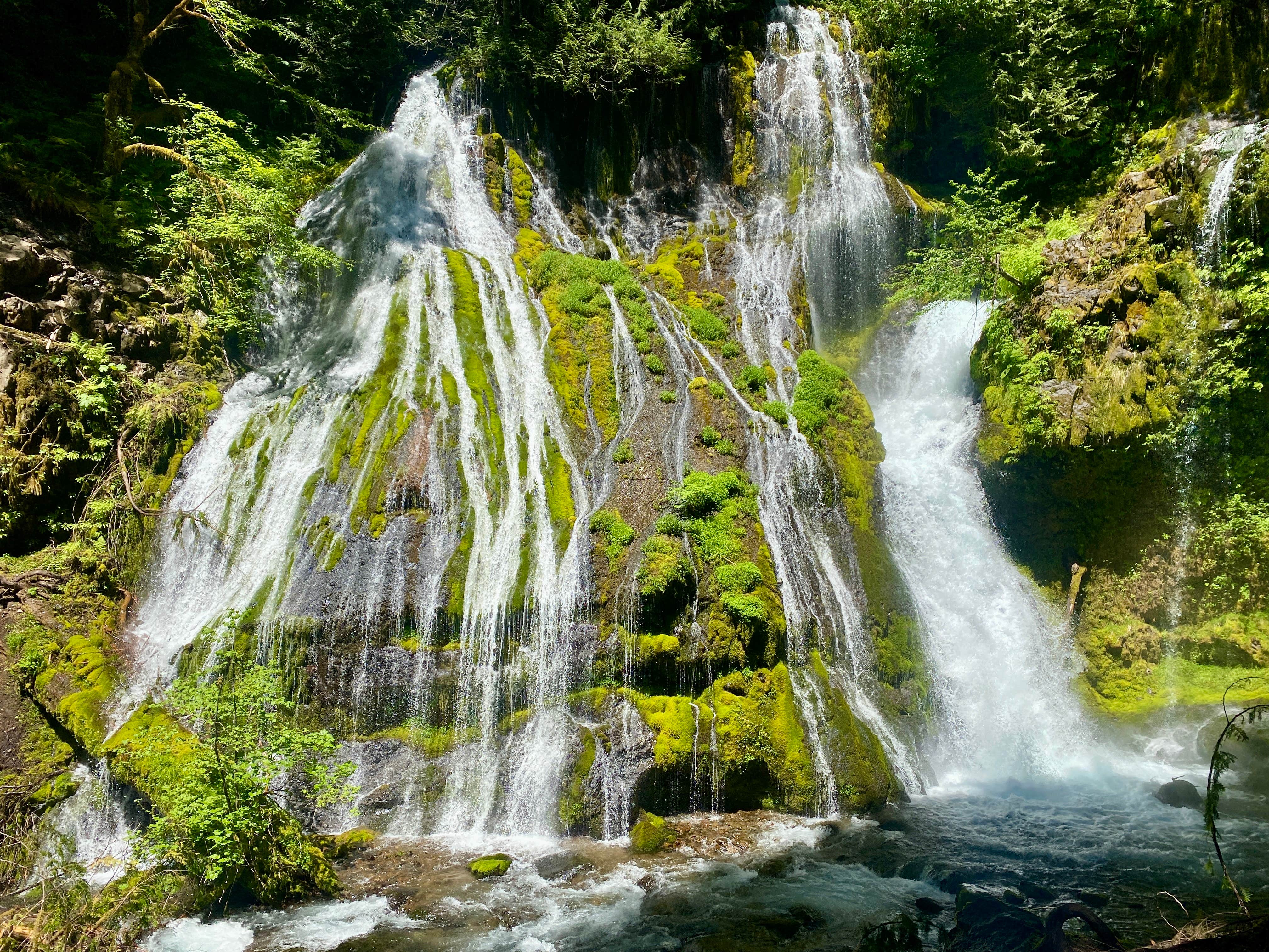 Camper submitted image from Dispersed Camping above Panther Creek Falls - 4