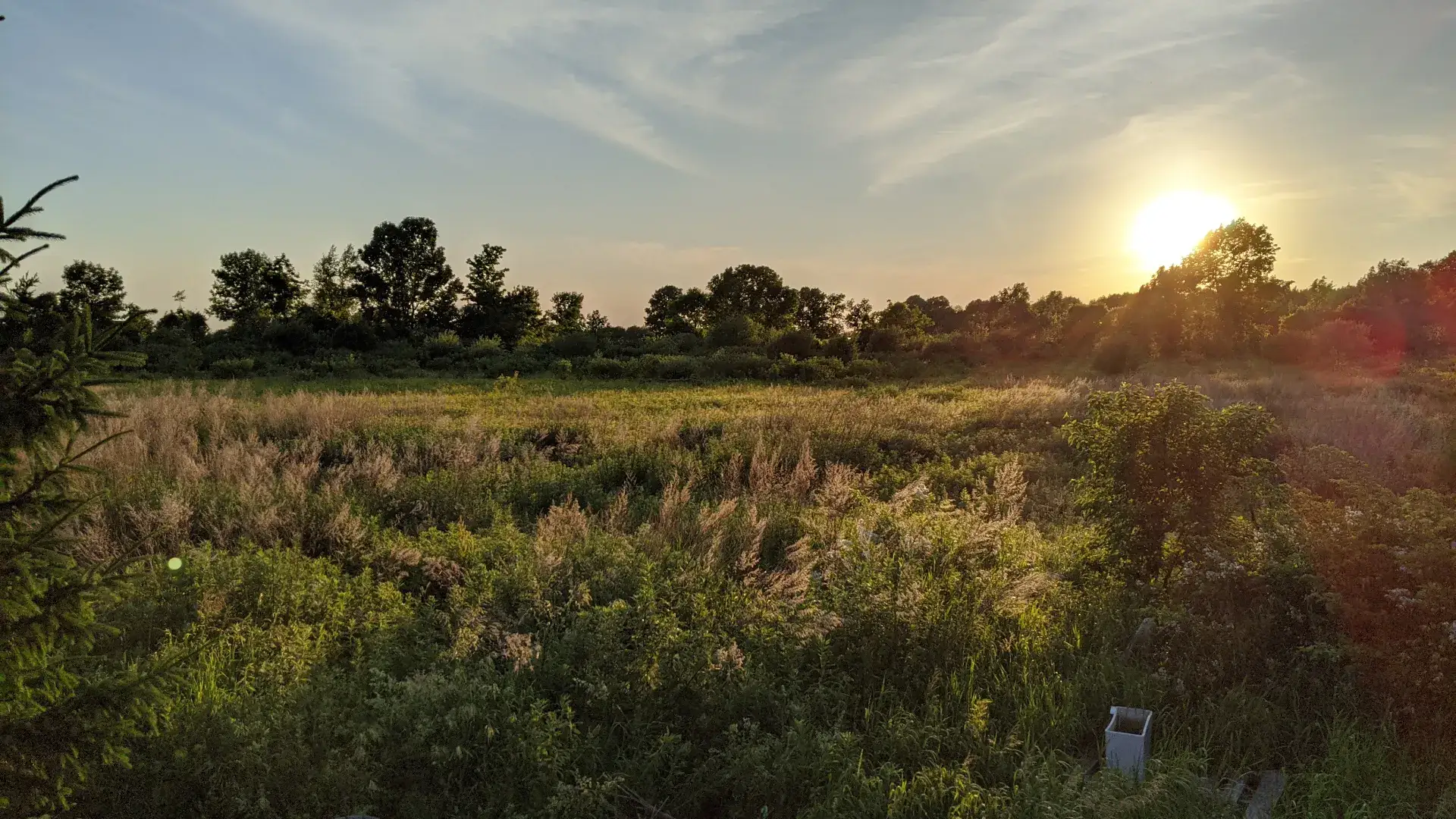 Camper-submitted photo at Thorndon Meadows near Oswego, NY