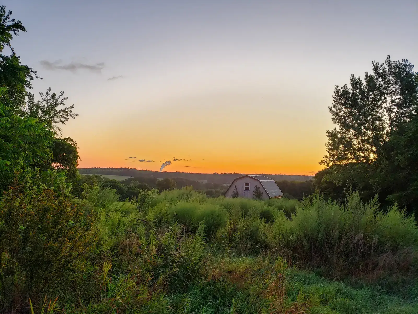 Camper-submitted photo at Thorndon Meadows near Oswego, NY