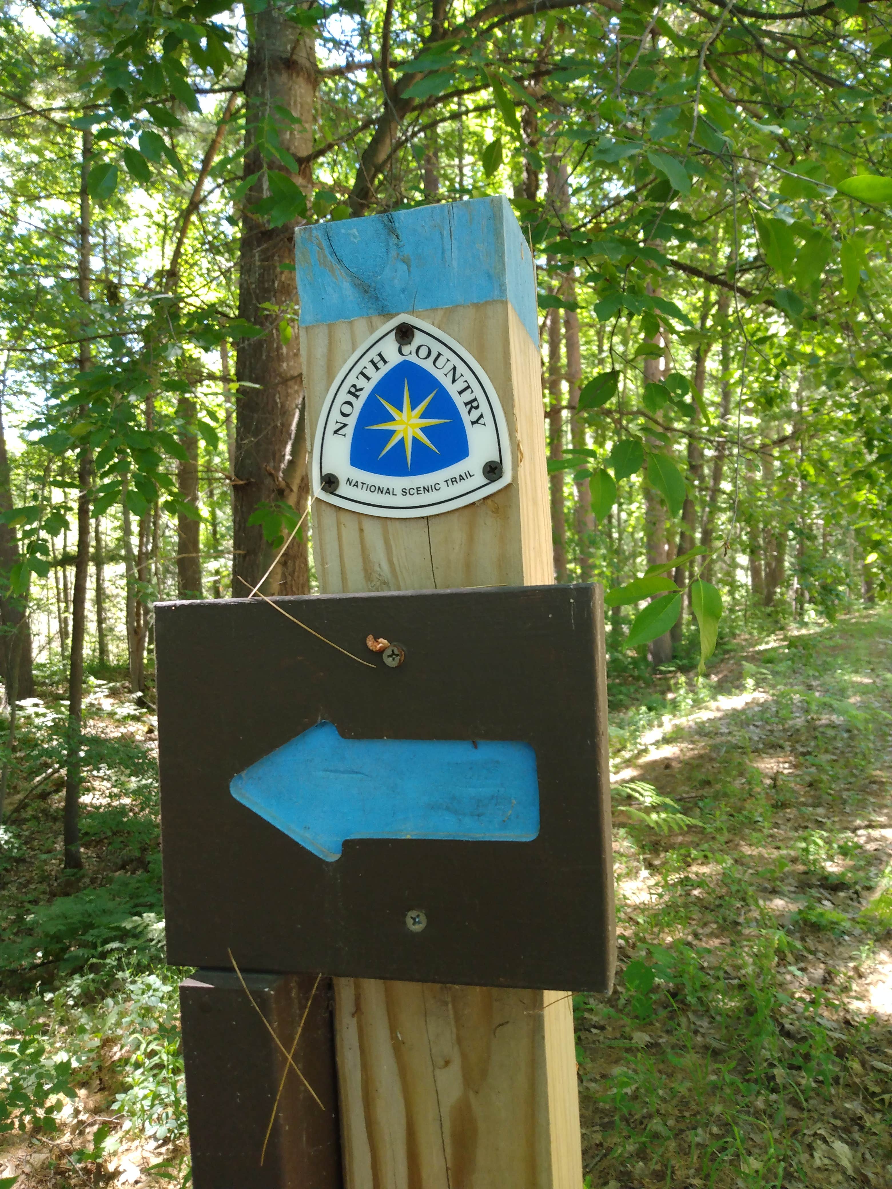 Camper submitted image from Guernsey Lake State Forest Campground - 5