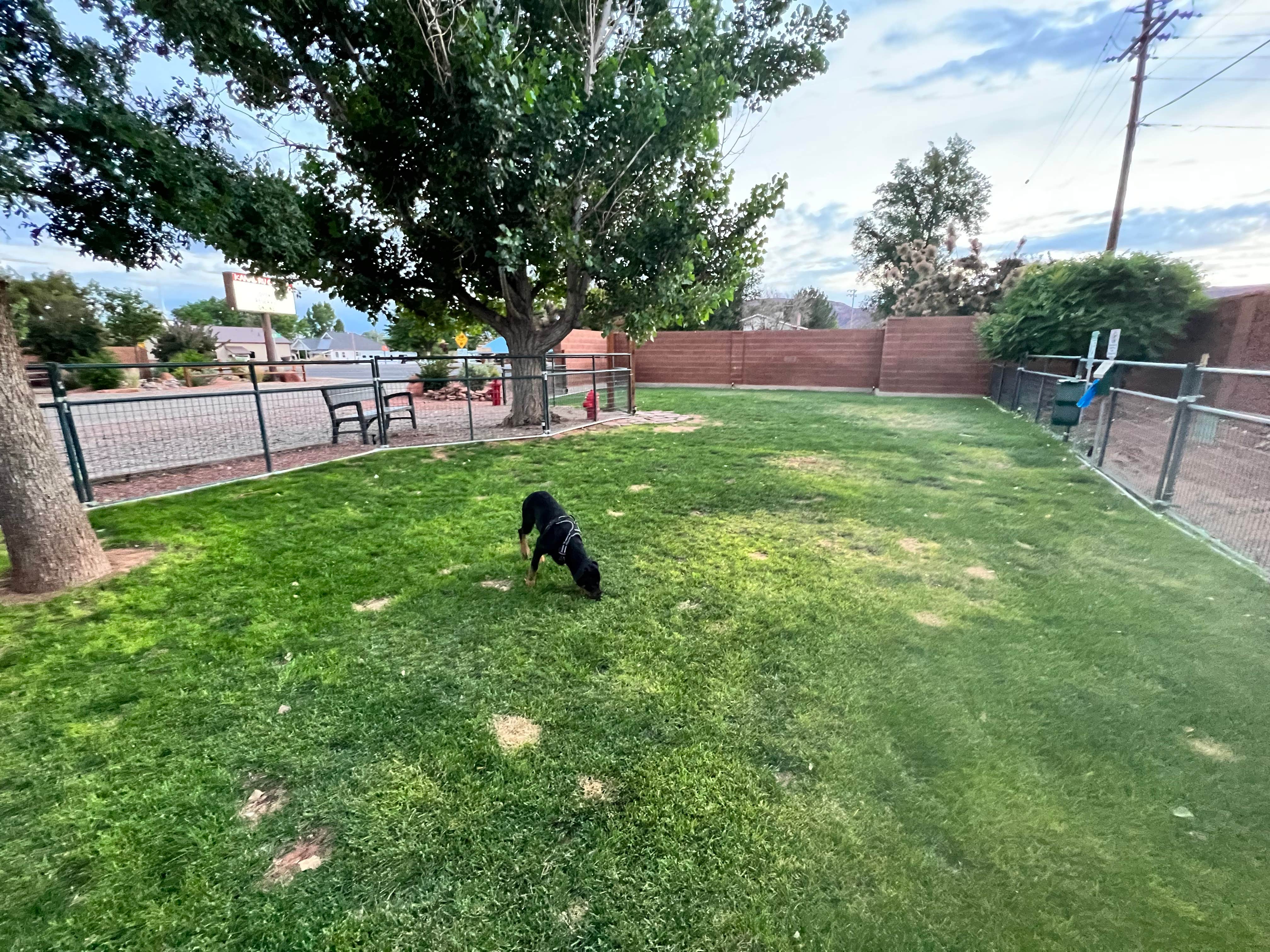 kyle's photo of camping with pets at Kanab RV Corral near Kanab, UT