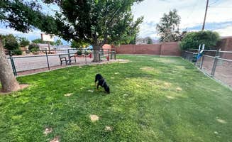 kyle's photo of camping with pets at Kanab RV Corral in Utah