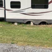 Review photo of Michigan City Campground by Lisa M., June 27, 2022