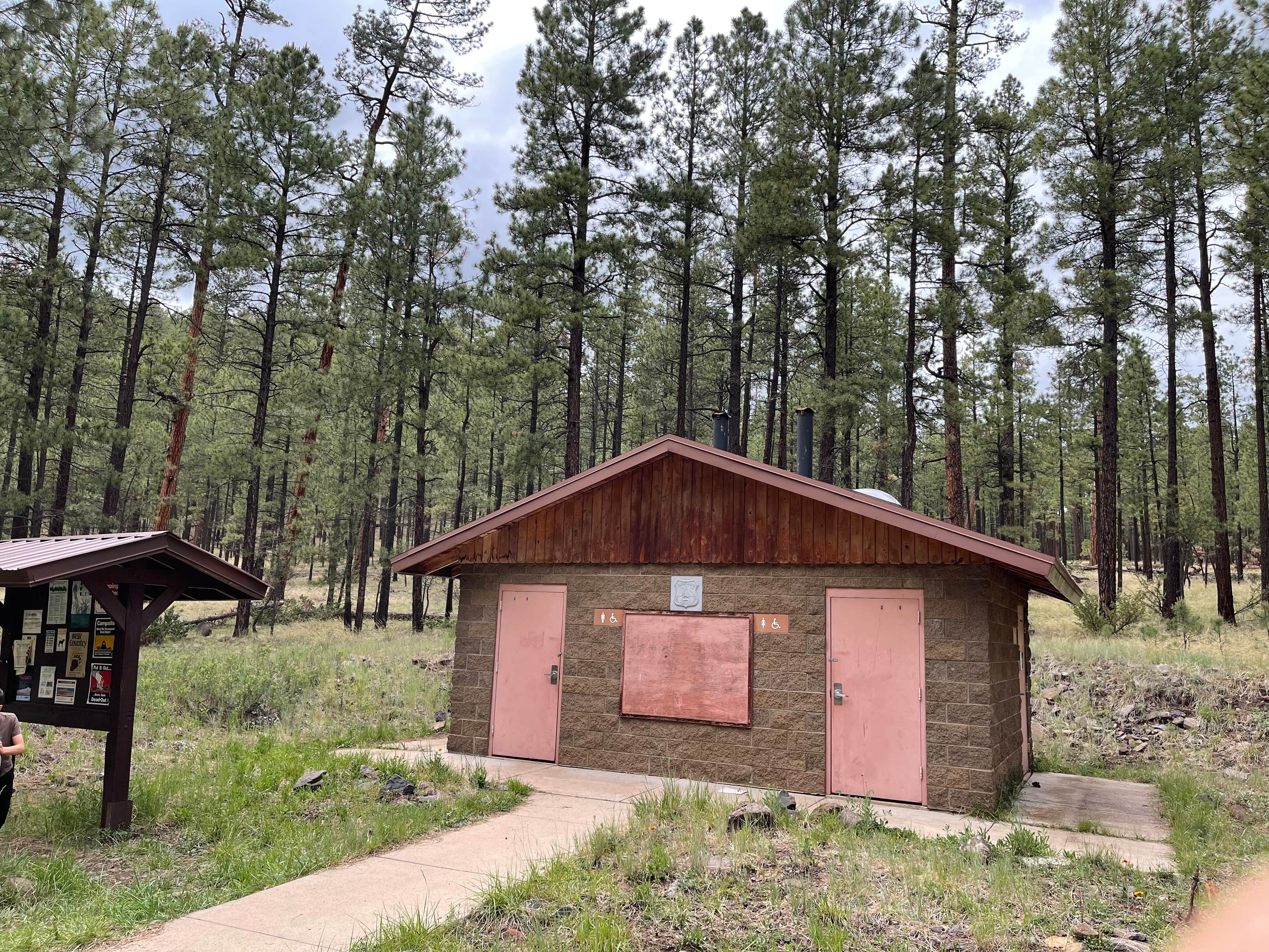 Camper-submitted photo at Horse Springs Campground near Alpine, AZ