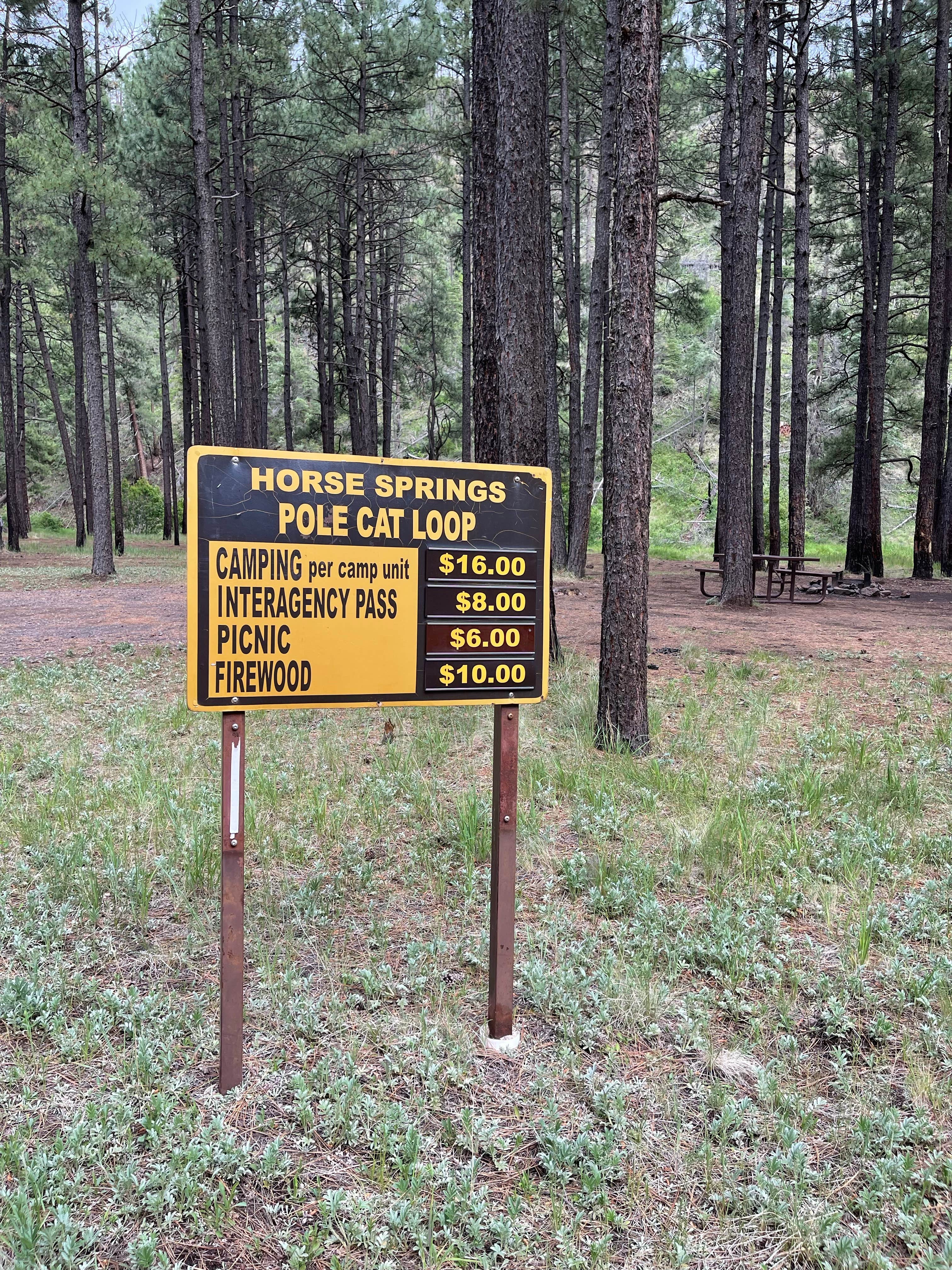 Signs & Maps