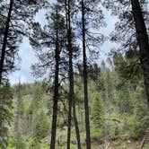 Review photo of Horse Springs Campground by JJ V., June 27, 2022