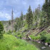 Review photo of Horse Springs Campground by JJ V., June 27, 2022