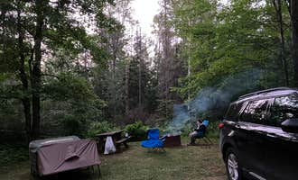 Camping near Squaw Lake State Forest Campground: Genes Pond State Forest Campground, Norway, Michigan