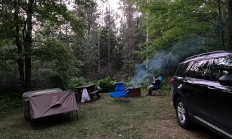 Camping near Anderson Lake West - Gwinn State Forest: Genes Pond State Forest Campground, Norway, Michigan