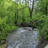 Review photo of North Fork County Park by Mark H., June 27, 2022