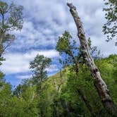 Review photo of North Fork County Park by Mark H., June 27, 2022