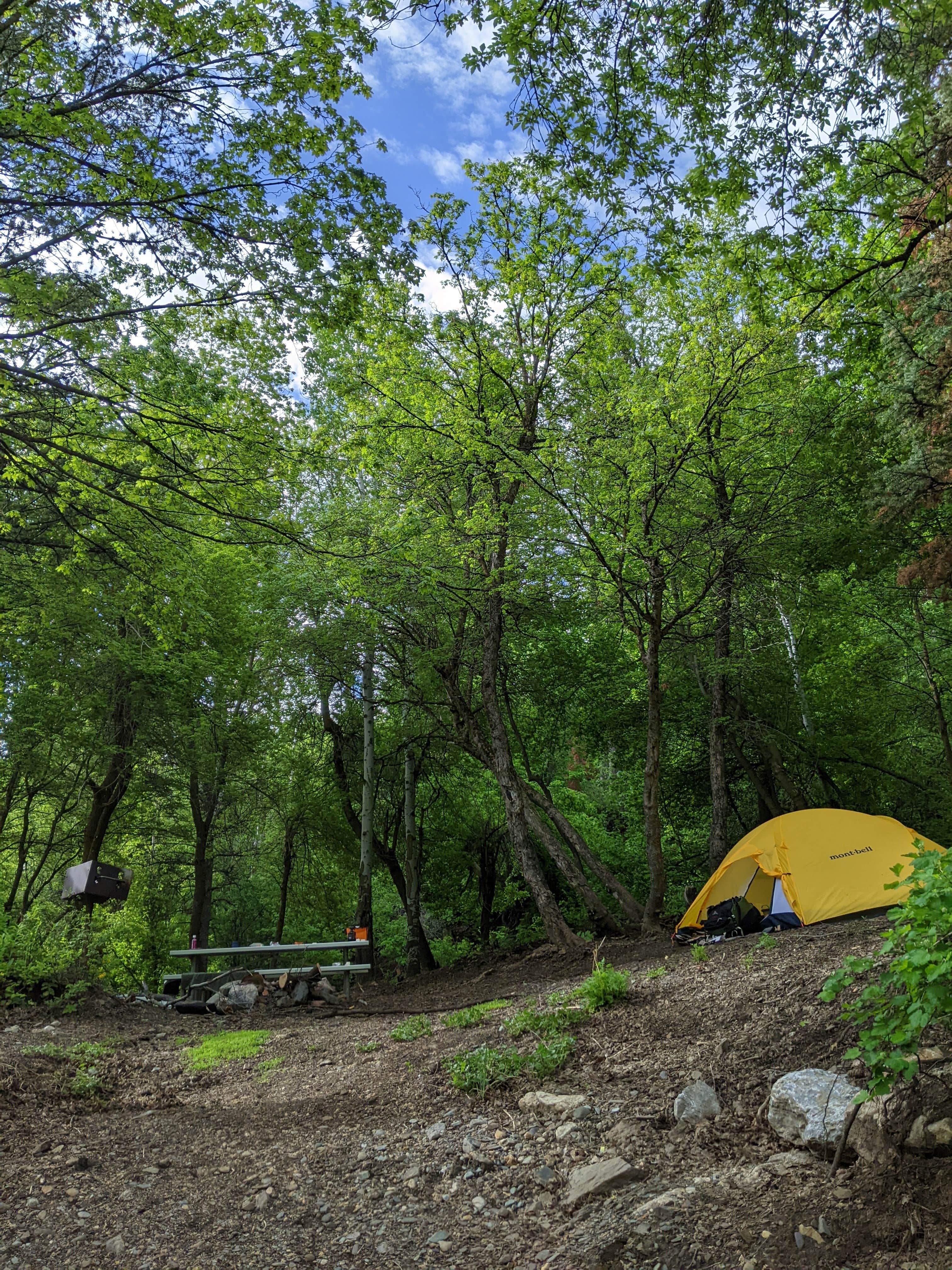 Camper submitted image from North Fork County Park - 1