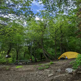 North Fork County Park