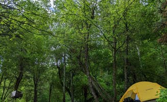 Mark H.'s photo at North Fork County Park near Corinne, UT