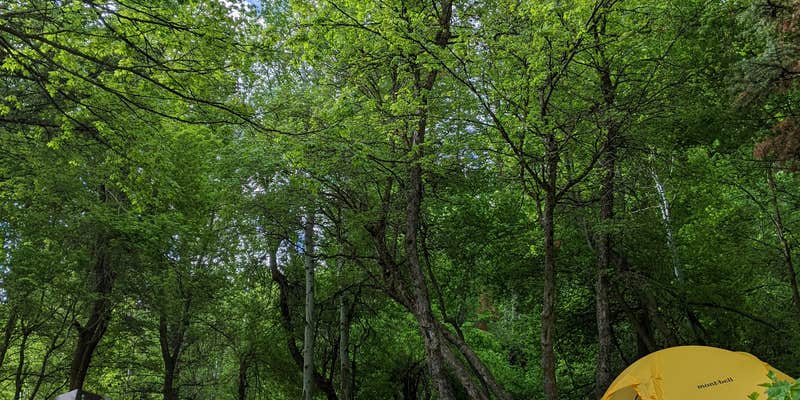 Camper submitted image from North Fork County Park