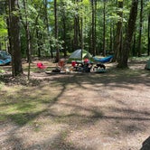 Review photo of Watkins Glen State Park Campground by Marissa V., June 27, 2022