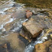 Review photo of Twin Bridges Canoe Campground by Crystal H., July 17, 2018