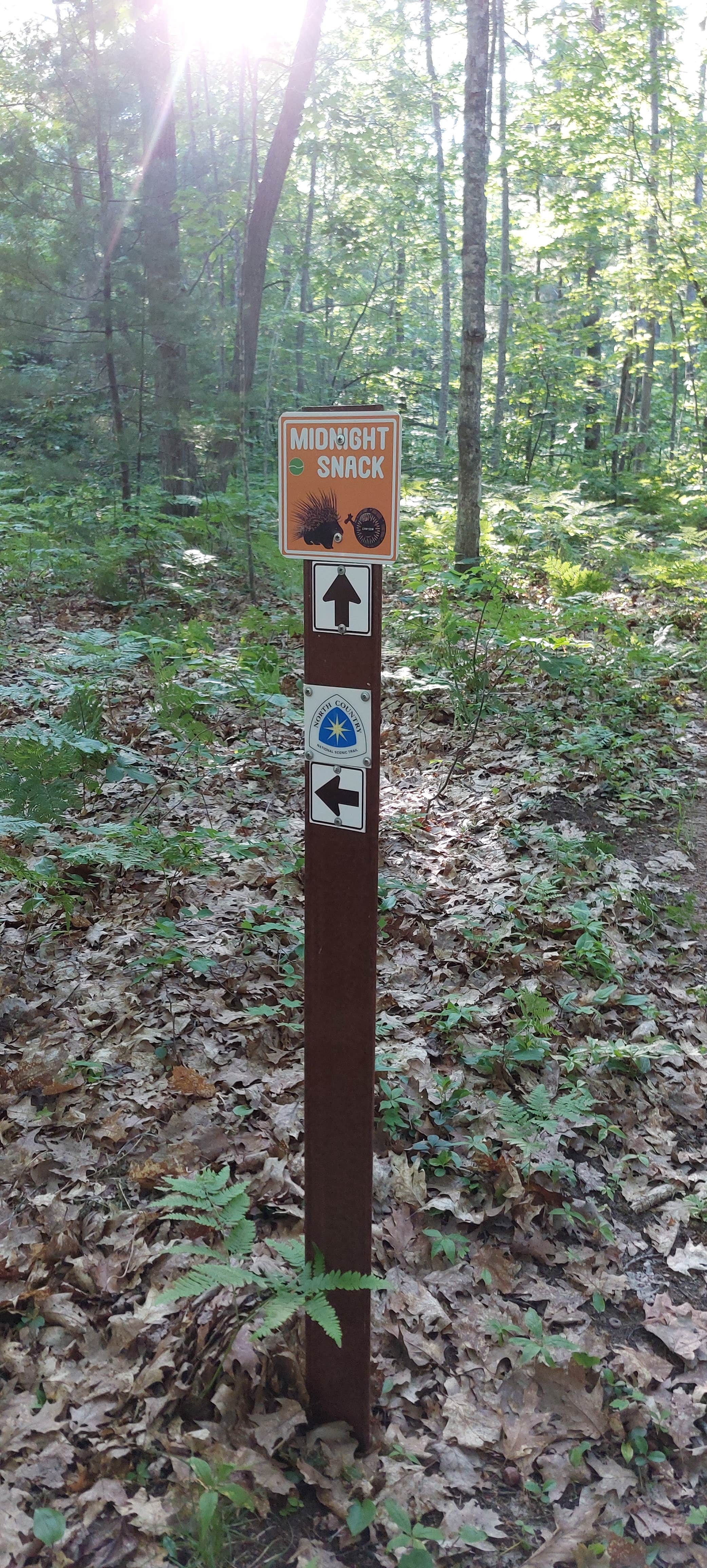 Camper-submitted photo at Forestville Campground near Gwinn, MI