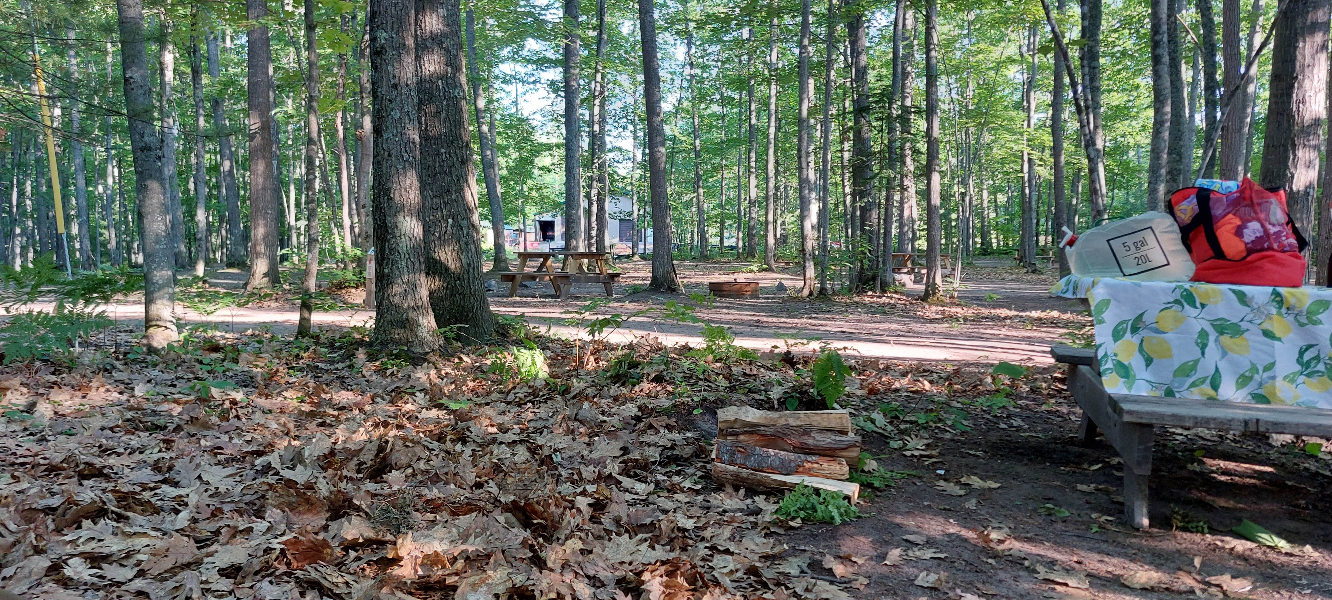 Camper-submitted photo at Forestville Campground near Marquette, MI