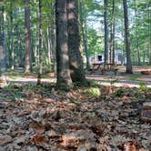 Review photo of Forestville Campground by Molly M., June 27, 2022