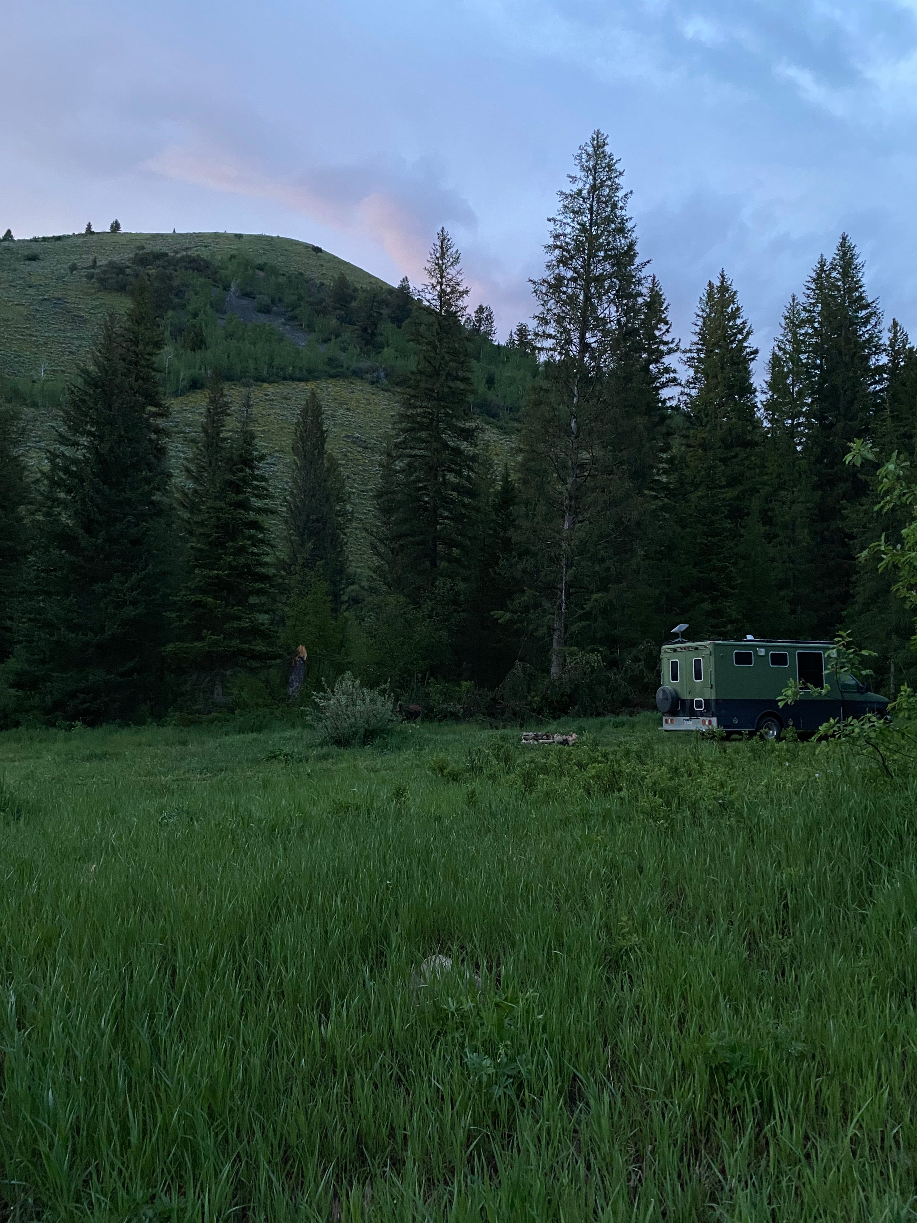 Camper submitted image from Moose Creek Trailhead Dispersed Area - 3