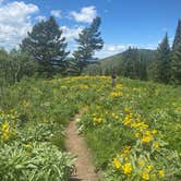 Review photo of Moose Creek Trailhead Dispersed Area by Jamie C., June 28, 2022