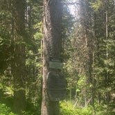 Review photo of Moose Creek Trailhead Dispersed Area by Jamie C., June 28, 2022
