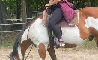 Nicole C.'s photo of camping with a horse at Duke Creek Campground in Michigan