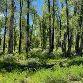 Review photo of Gros Ventre Campground — Grand Teton National Park by LoneCamper C., June 28, 2022