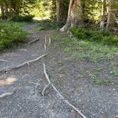 Review photo of Bridge Bay Campground — Yellowstone National Park by LoneCamper C., June 26, 2022