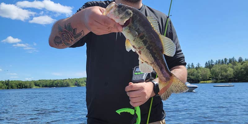 Camper submitted image from Hunter Lake Campgrounds