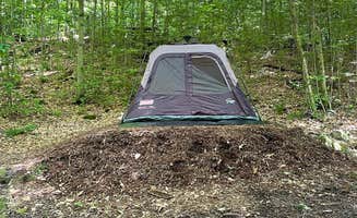 Jesse S.'s photo at Worlds End State Park Campground near Forksville, PA