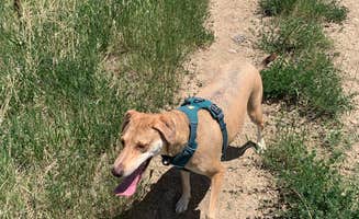 Shawn B.'s photo of camping with pets at Dakota Ridge RV Park near Northglenn, CO