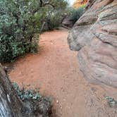 Review photo of Snow Canyon State Park Campground by LoneCamper C., June 28, 2022