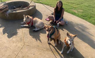 Shawn B.'s photo of camping with pets at North Texas Jellystone near Wilmer, TX